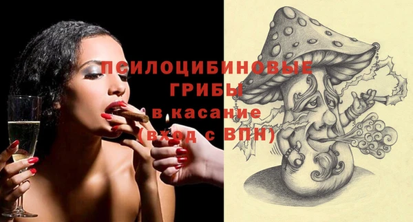 дживик Абинск
